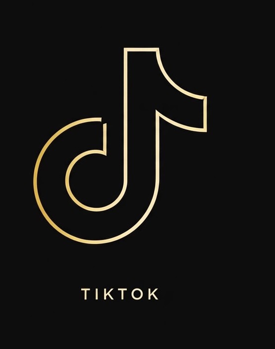 TikTok Page Setup